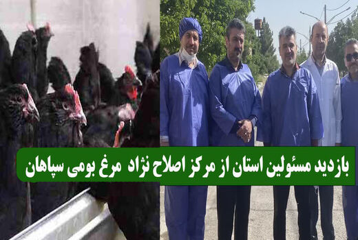 بازدید مسئولین استان از مرکز اصلاح نژاد مرغ بومی سپاهان