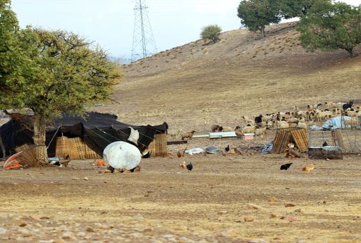 ۱۳ طرح عشایری همزمان با دهه فجر در اصفهان به بهره برداری رسید