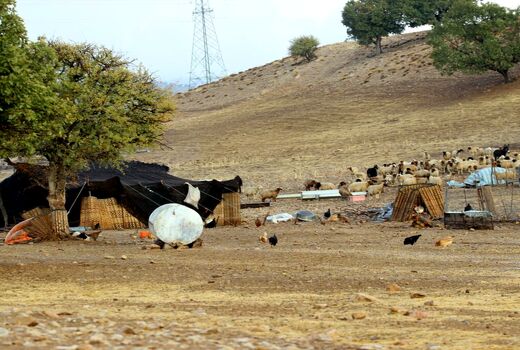 ۱۳ طرح عشایری همزمان با دهه فجر در اصفهان به بهره برداری رسید