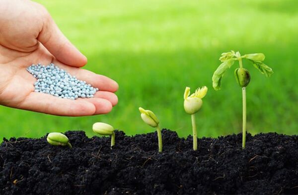 توزیع بیش از 15 هزار تن کود در استان خراسان جنوبی