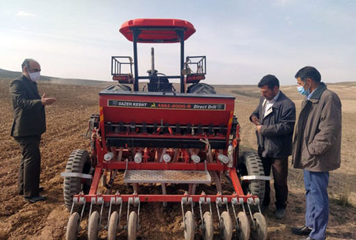 کشت دانه روغنی کاملینا در سطح یک هکتار در شهرستان هریس