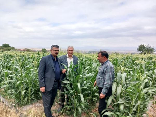 تأکید بر نوآوری تغذیه گیاهی در افزایش بهره‌وری کشاورزی