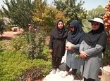 ایجاد 5 باغچه سلامت توسط بانوان شهرستان بیضا