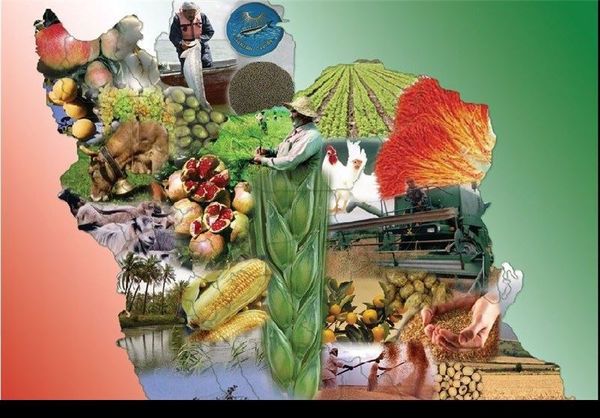 12طرح منابع طبیعی وآبخیزداری در دهه فجر امسال افتتاح می‌شود