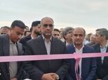 پروژه احداث گلخانه سبزی و صیفی استان هرمزگان افتتاح شد