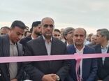 پروژه احداث گلخانه سبزی و صیفی استان هرمزگان افتتاح شد