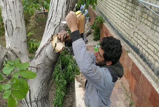 اجرای طرح 