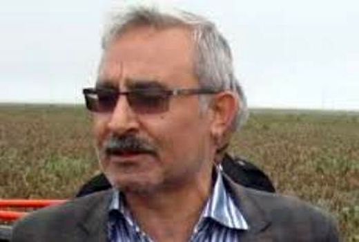 تاپایان سال بیش از 70 درصد از دامهای سبک و سنگین بیمه خواهد شد.  