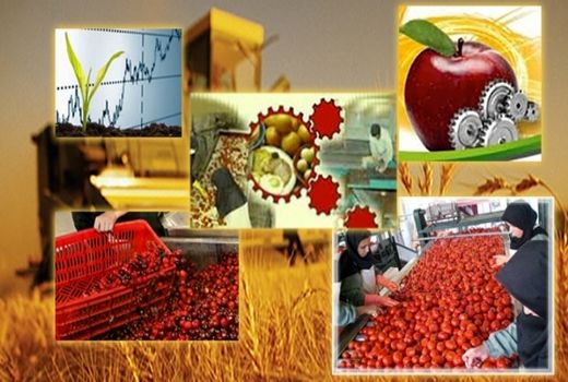 17 پروژه بخش کشاورزی استان البرز در هفته دولت به بهره برداری می رسد  