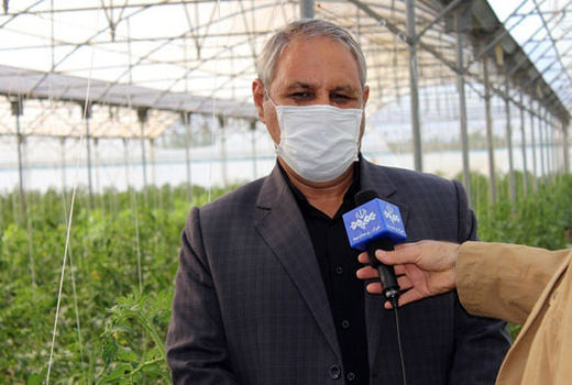 افزایش سطح گلخانه های شهرستان مرند به بیش از  25هکتار