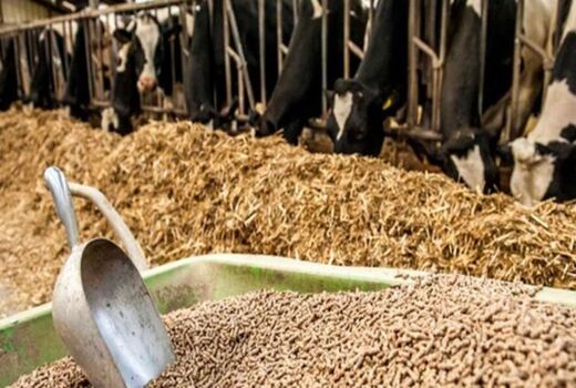 دهمین نمایشگاه بین‌المللی خوراک دام، طیور و آبزیان ایران برگزار می‌شود
