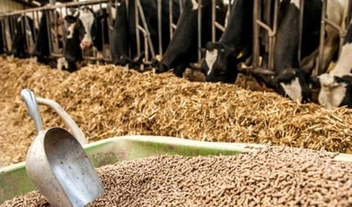 دهمین نمایشگاه بین‌المللی خوراک دام، طیور و آبزیان ایران برگزار می‌شود