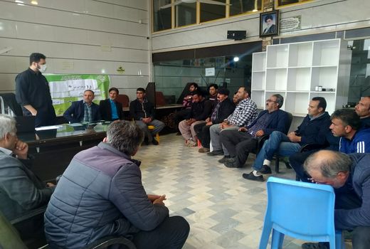 سالانه 250 تن ماهی سردابی در استخرهای شهرستان تاکستان تولید می شود