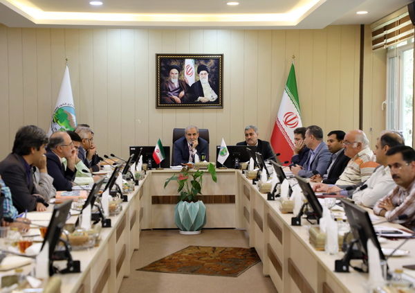 حفظ و توسعه پوشش گیاهی اولویت اول سازمان جنگلهاست