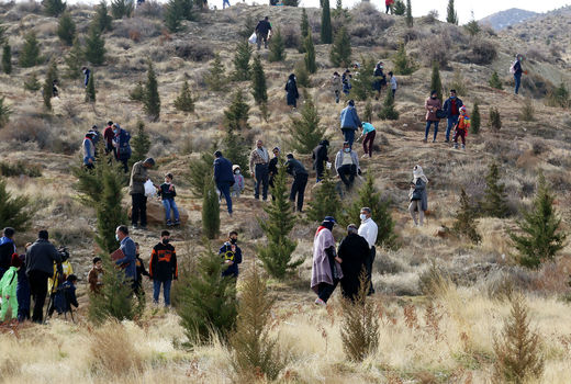 پویش مردمی بذرکاری و بذر پاشی برای احیاء 10هزارهکتارازعرصه های منابع طبیعی