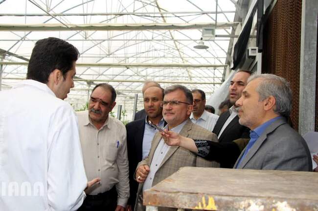 بازدید معاون امور باغبانی وزیر جهاد کشاورزی از پروژه های کشاورزی شهرستان پیشوا