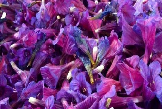 برگزاری کارگاه آموزشی با عنوان «زراعت گیاهان دارویی و سبزیکاری» در شهرستان سیرجان 