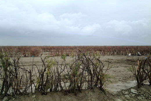  پخش مستندی درباره بحران بی آبی