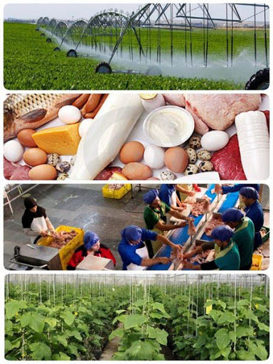 بهره‌برداری از 64 پروژه تولیدی و عمرانی بخش کشاورزی استان یزد در هفته دولت