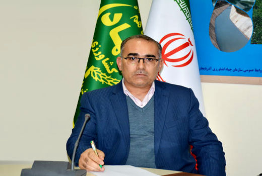 اجرای طرح اصلاح نژاد دام سنگین در شهرستان چاراویماق