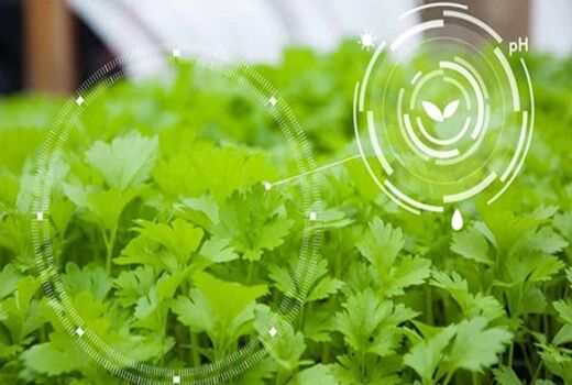 کاربرد نانوفناوری در کشاورزی مدرن