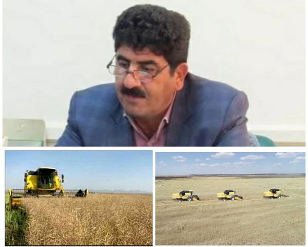 افزایش ۹ درصدی خرید تضمینی گندم نسبت به سال گذشته