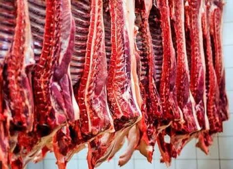 تولید ۳۶ هزار تن گوشت قرمز فارس در 6 ماه نخست سال