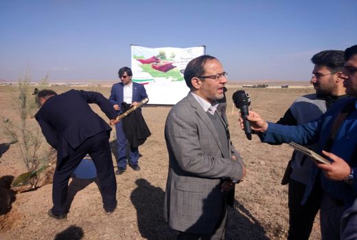 کاشت سراسری ۱۴ میلیون نهال در کشور 