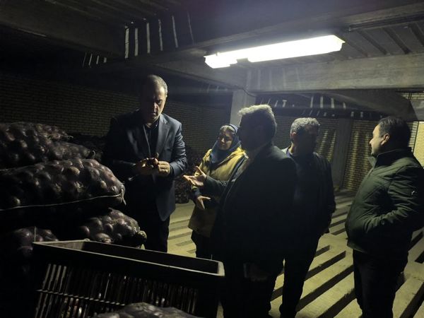 تمرکز تعاون روستایی بر ذخیره‌سازی و روستابازار برای کاهش واسطه‌گری در بازار کشاورزی