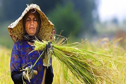 پرداخت ۲۰۰ میلیارد تومان تسهیلات به عشایر و روستاییان چهارمحال و بختیاری