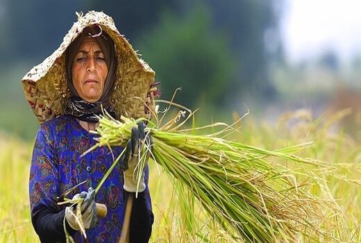 پرداخت ۲۰۰ میلیارد تومان تسهیلات به عشایر و روستاییان چهارمحال و بختیاری