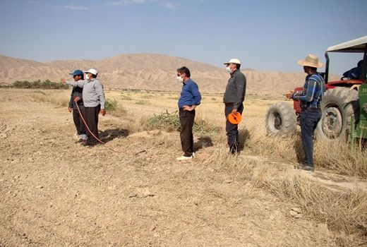 اجرای طرح مقایسه ارقام کنجد در فراشبند 