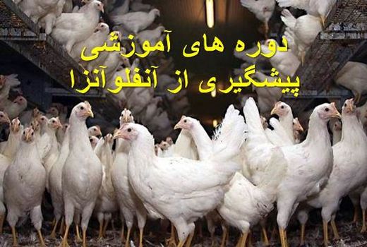 دوره‌های آموزشی پیشگیری از آنفولانزای پرندگان 