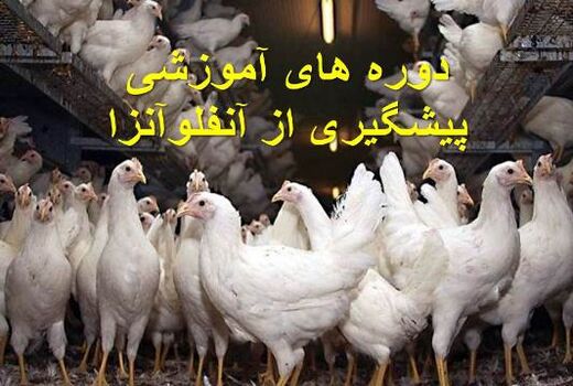 دوره‌های آموزشی پیشگیری از آنفولانزای پرندگان 