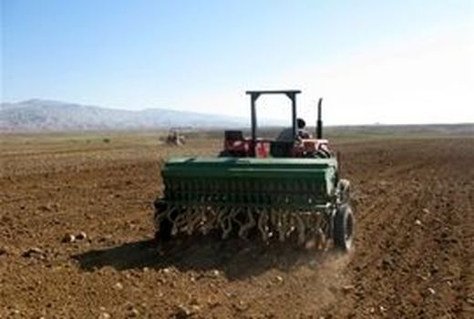 آغاز کشت گندم در بوشهر