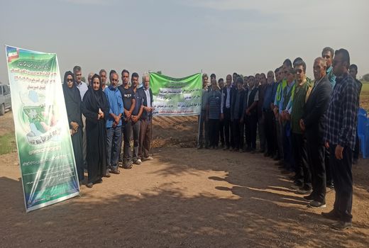 آشنایی با آبیاری و تغذیه متعادل کشت چغندر قند در دزفول