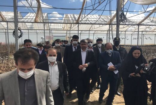 استاندار همدان از پروژه های بخش کشاورزی تویسرکان بازدید کرد 