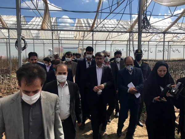 استاندار همدان از پروژه های بخش کشاورزی تویسرکان بازدید کرد 