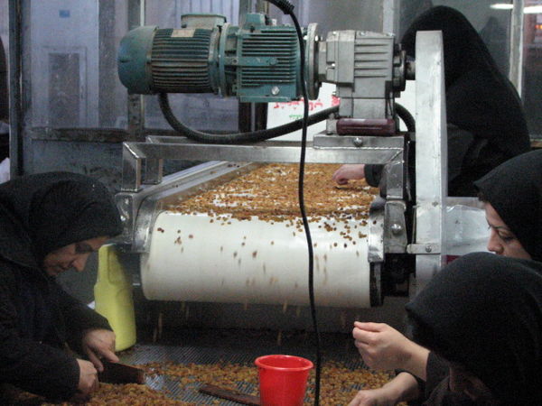 صدور14 پروانه بهره برداری صنایع تبدیلی  تکمیلی در استان قزوین