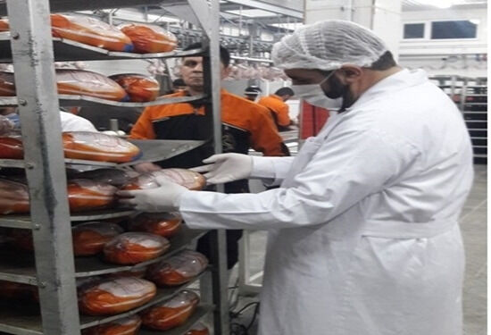 ذبح شرعی بیش از 42 میلیون قطعه طیور و دام در سطح کشتارگاه های آذربایجان غربی