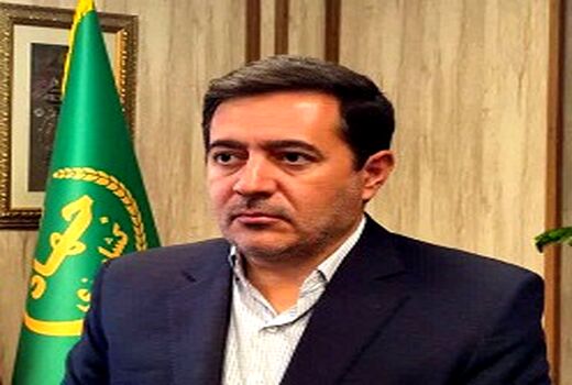 کاشت گندم در استان فارس به پایان رسید
