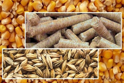بازارگاه برای کارخانجات خوراک دام و طیور بازگشایی می‌شود