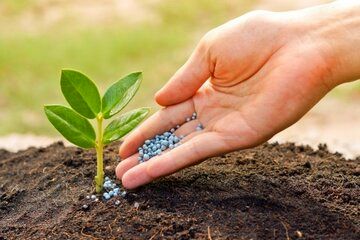 دپوی بیش از 16 هزار تن انواع کودهای یارانه ای در انبارهای استان کرمان   