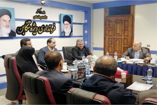 راه اندازی زنجیره کیوی در غرب مازندران/ به صنایع تبدیلی کیوی توجه نشد