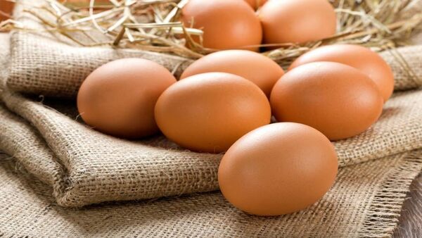  فروش هر شانه تخم‌مرغ بالاتر از ۷۶ هزار تومان تخلف است