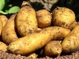 مزارع خانوادگی و معمای تورم در انگلیس