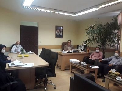 کشت کلزا در شهرستان تهران توسعه می‌یابد