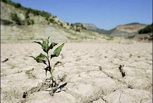 خشکسالی 20هزار میلیارد تومان به کشاورزی خسارت زد