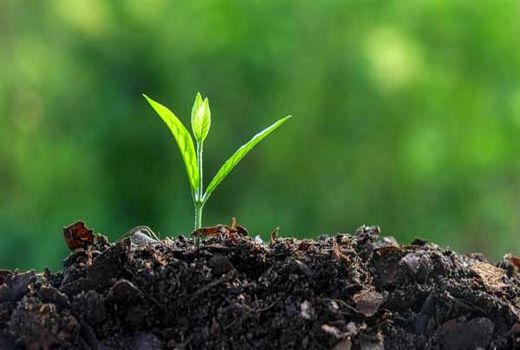 سلامت و امنیت غذایی جامعه در گرو حفظ خاک است