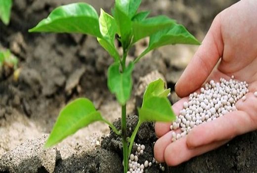 توزیع بیش از ۵۳ هزار تن انواع کود و بیش از یک هزار و ۹۰۰ لیتر انواع سموم در میان کشاورزان خوزستانی